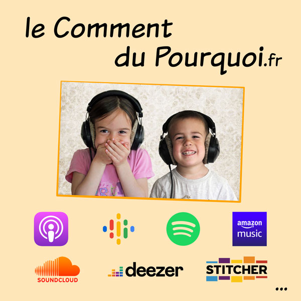 Podcast "Le Comment Du Pourquoi", photo 1